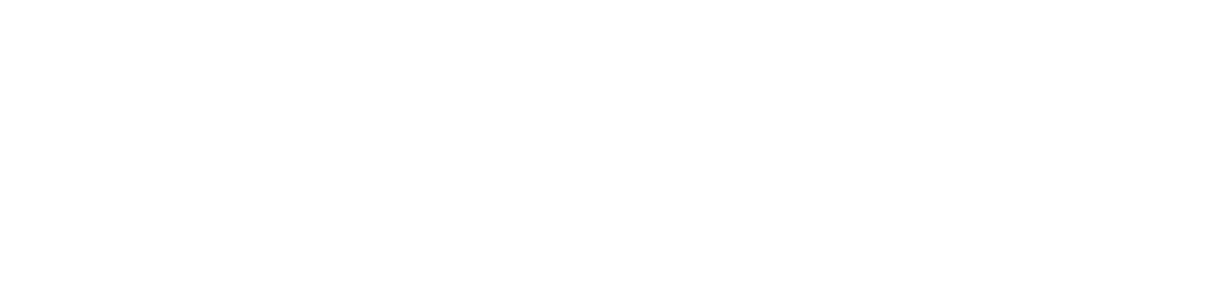 NN WEB LOGO3